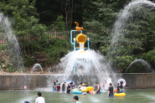 금산산림문화타운 여름맞이 쾌적성 강화