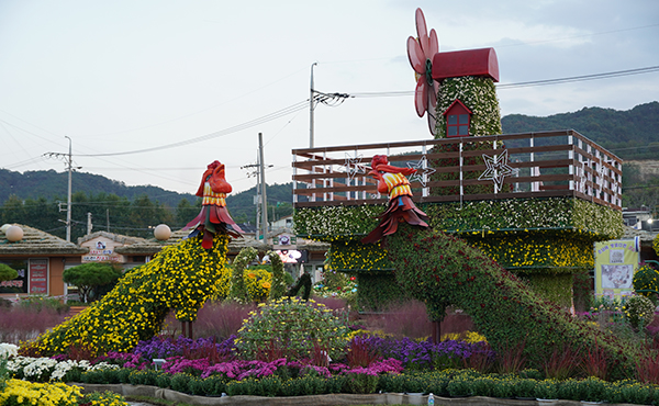 국화·국수·국밥의 컬래버…미리 가본 예산장터 삼국축제