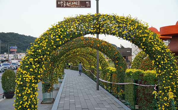 국화·국수·국밥의 컬래버…미리 가본 예산장터 삼국축제