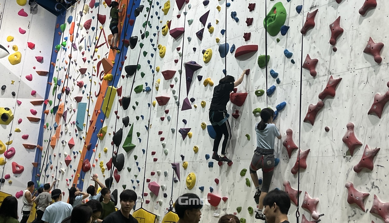세종공공스포츠클럽, 클라이밍 리드 축제 개최