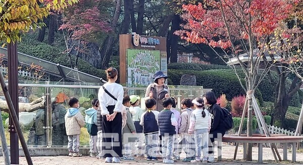 갈비사자 부녀상봉 앞둔 청주동물원 생태해설 투어