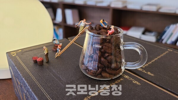 [천안 독립서점 기행] ⑤ 특별한 큐레이션 책방주의