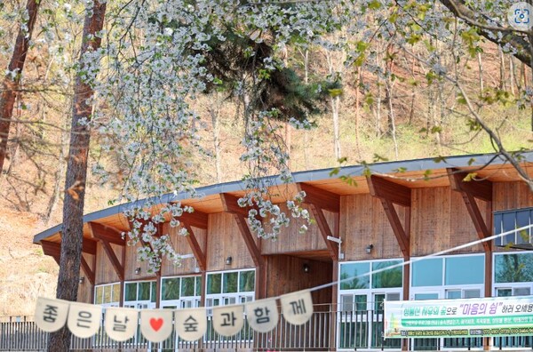 괴산 성불산 산림휴양단지, 치유와 힐링 명소 인기
