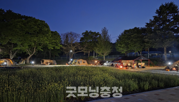 공주시, 힐링 캠핑장 선돌느티나무캠핑마을 개장