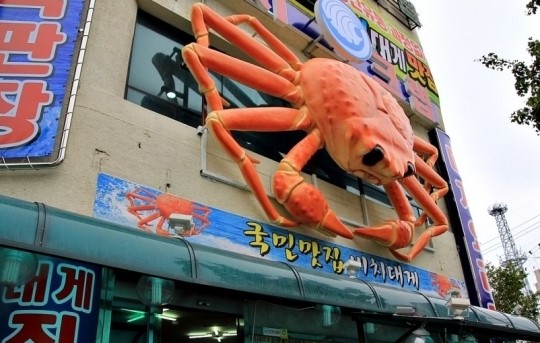 생생정보통 줄을서시오 비치크랩 소개…저렴한 가격 높은 신선도 강점
