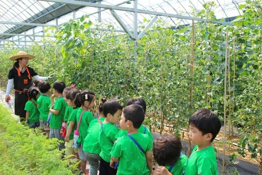힐링체험농원 5000여 명 발걸음