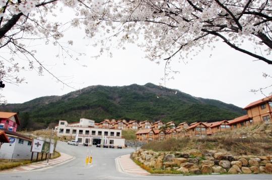 코레일관광개발, 곡성 강빛마을 펜션 운영 개시해