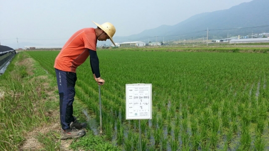 보성군, 농산물우수관리(GAP)인증 확대