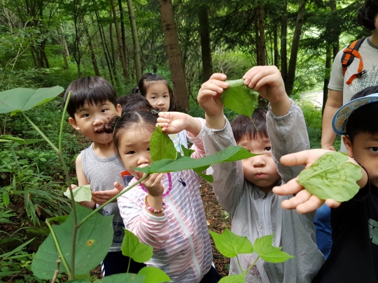 전북 산림환경연구소,대아수목원 유아숲체험원 개장