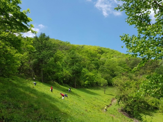 [메트로 트래블] 느낌여행사, 산나물 직접채취…1인당 2kg까지