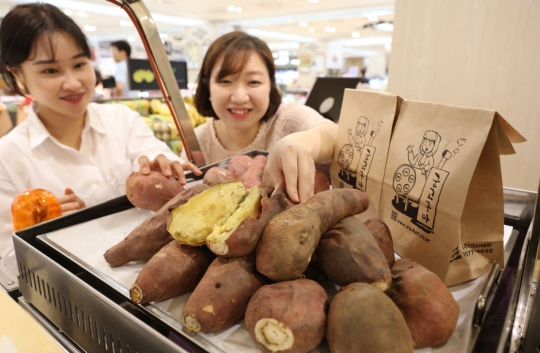 롯데백화점광주점,원적외선으로 구운 군고구마 맛!