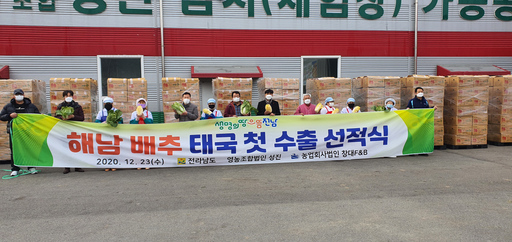 전남도, 해남산 배추 태국 첫 수출
