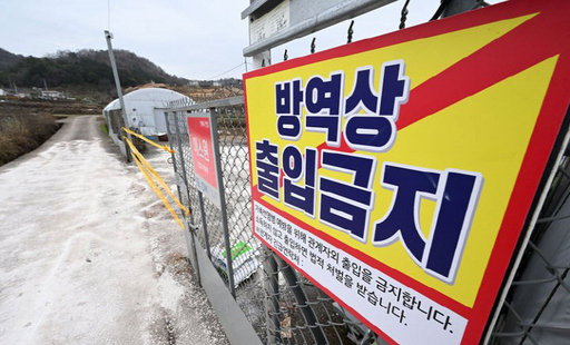 새해 전국 5번째 고병원성 AI 전남 오리농장서...2개월새 30곳 피해
