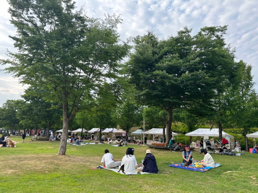 안성시, 안성맞춤랜드 2024 댕댕이 시네마 피크닉 성료