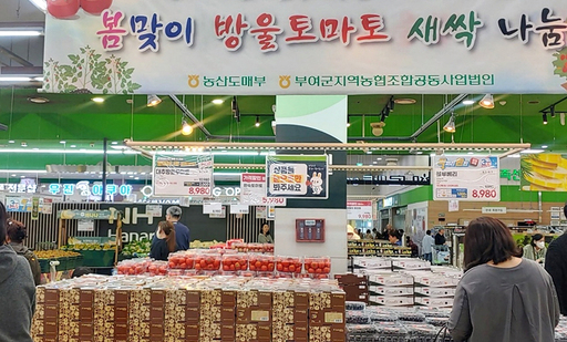 하나로마트, 고양·양재점서 대추방울토마토 모종 증정