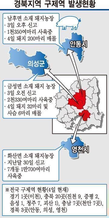 안동·의성·영천…구제역 방역망 뚫렸다