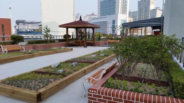 대구시, 옥상녹화사업 95개소 확대