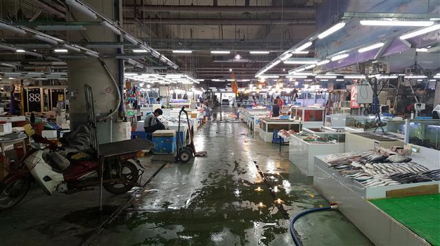 퍼지는 콜레라 공포…지역 횟집·어시장 썰렁