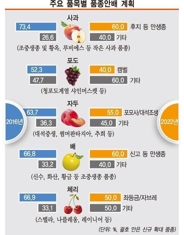 경북도, 과일 생산·유통 혁신  과수산업 선진지로 성큼