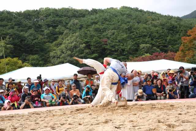 ‘제10회 팔공산 산중장터 승시축제’ 3~6일 동화사 일대에서