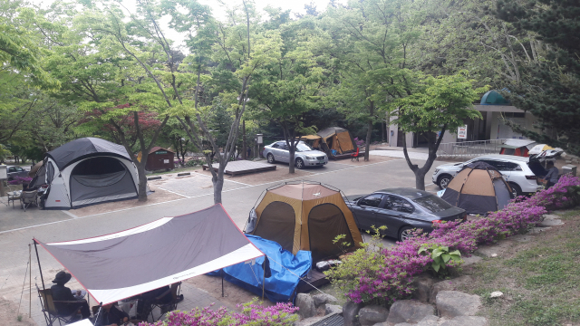 ‘가을 캠핑의 맛’ (7·끝)-팔공산 야영장