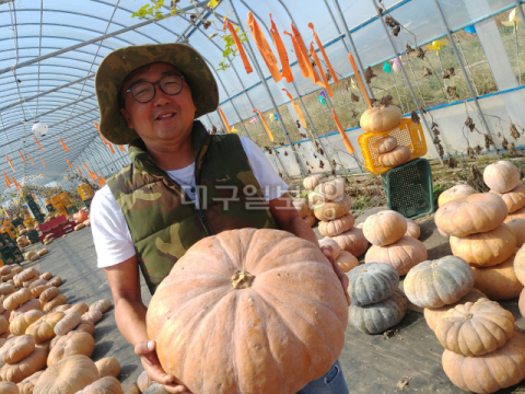 경북애 그린키농원…여기가 바로 호박체험 맛집 호박, 어디까지 즐겨봤니?