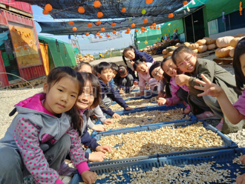경북애 그린키농원…여기가 바로 호박체험 맛집 호박, 어디까지 즐겨봤니?