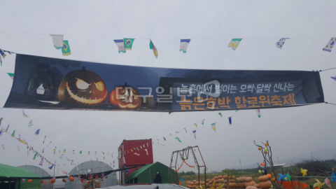 경북애 그린키농원…여기가 바로 호박체험 맛집 호박, 어디까지 즐겨봤니?