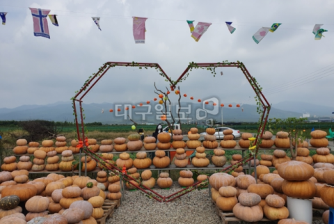 경북애 그린키농원…여기가 바로 호박체험 맛집 호박, 어디까지 즐겨봤니?