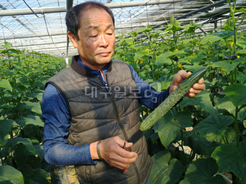 강소농 현장을 가다 (55) 칠곡 보람농장