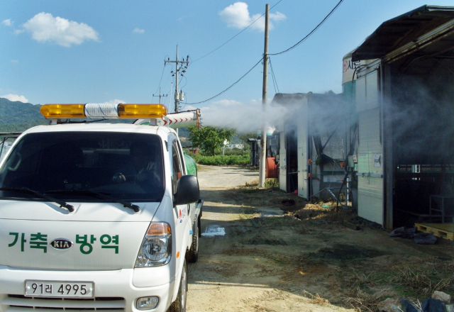 김천 축산 미래 100년 탄탄대로…김천시,축산 발전에 행정력 집중