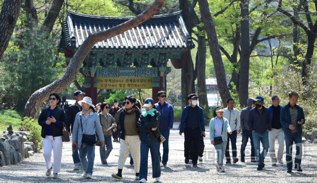 포항 내연산서 봄 기운 받고 죽도시장서 특산물도 구입하고