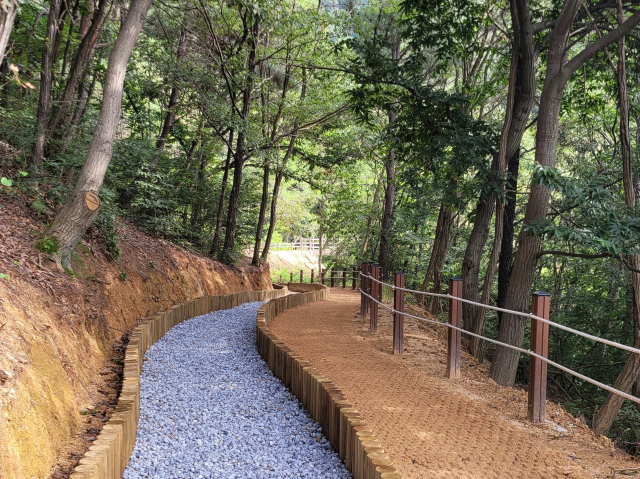 경산시 도심 속 초록 쉼터 ‘경산 치유의 숲’ 시범 운영…7일부터 내년 2월 말까지 산림치유 프로그램 시범 운영