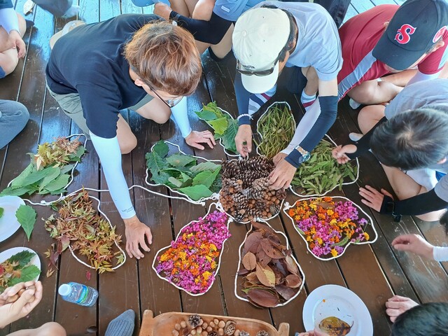 한국생태문화협동조합, 장애인과 교통취야계층에게 찾아가는 숲체험교실 제공