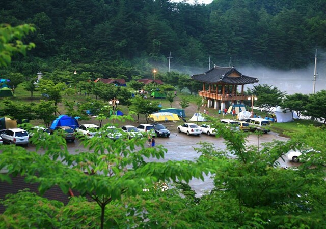 경북 영양군 청소년수련원 캠핑장, 은하수와 별빛이 어우러진 여름 피서지로 최적