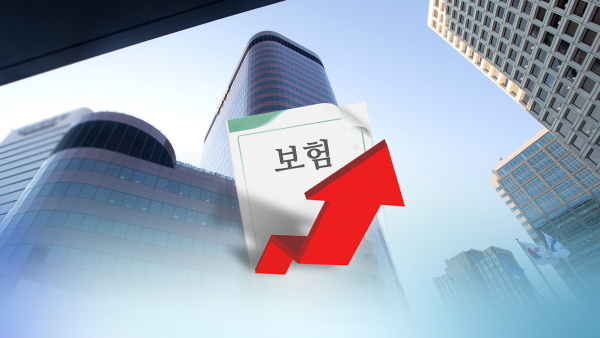 새 회계기준 이익 부풀리기 논란, 국감서도 주요 쟁점 부각