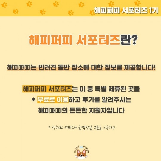 소셜벤처 물빛, 반려견과 힐링할 해피퍼피 서포터즈 모집 시작