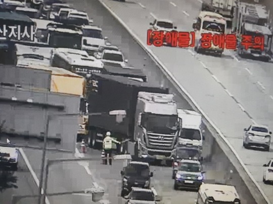 부산방면 통도사 휴게소 2km지점 소 출몰