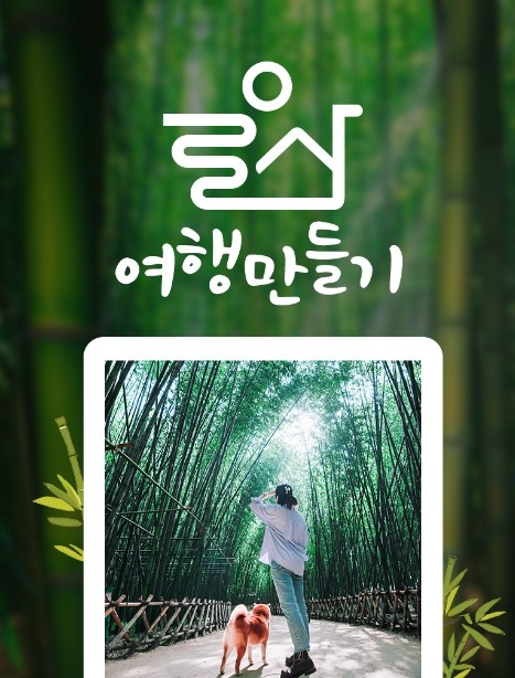 웹투어, 울산여행만들기 상품 런칭