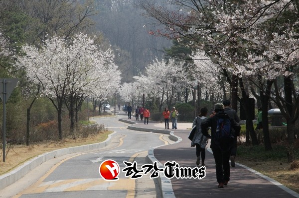 강서구, 방화근린공원 개화산 봄꽃축제 개최
