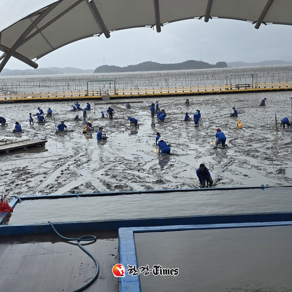 낮에는 갯벌체험, 저녁에는 캠핑... 순천만어촌체험휴양마을로 오세요