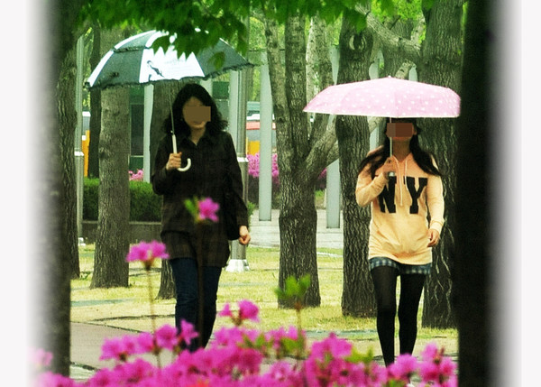 [오늘의 날씨] 전국 촉촉한 봄비 제주 최고 강수량 80mm 이상 서울날씨 16도...최고기온 20도 포근