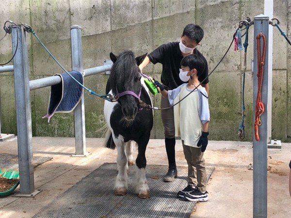 제주시, 도내 학생 대상 승마체험 사업 추진