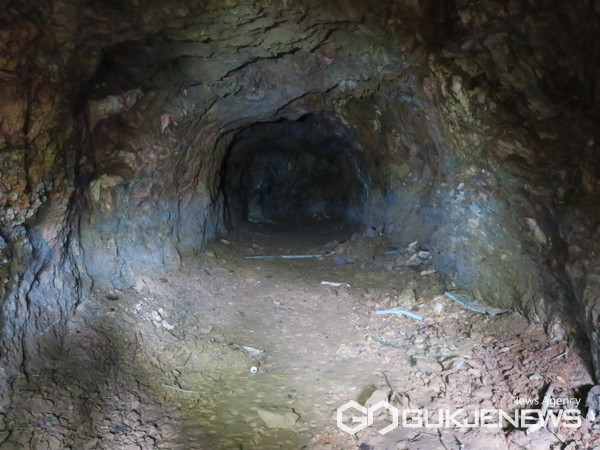 군산대 미룡동 캠퍼스 내 인공동굴 무더기 확인...역사적 가치 재조명돼야
