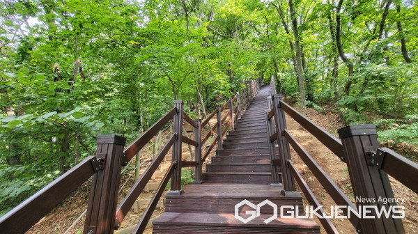 용인시, 시 경계 숲길 204㎞ 구간... 총 15억원 투입 정비 완료
