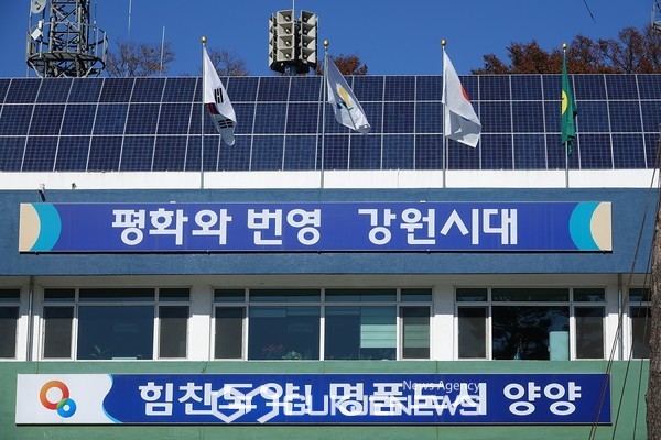 양양군, 2022 양양송이축제 송이보물찾기 행사…성황리 접수중