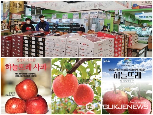 제천하늘뜨레 사과 전국 롯데마트서 6일간 판촉행사 진행