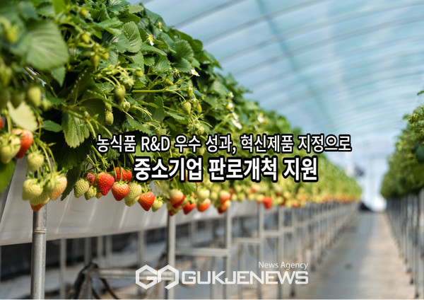 농식품 R&D 우수 성과, 혁신제품 지정으로 중소기업 판로개척 지원