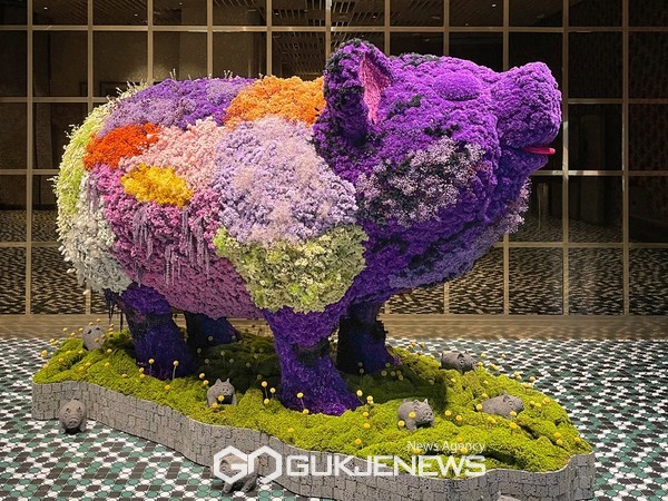 제주 드림타워에 꽃향기 솔솔…대형 꽃돼지 등장