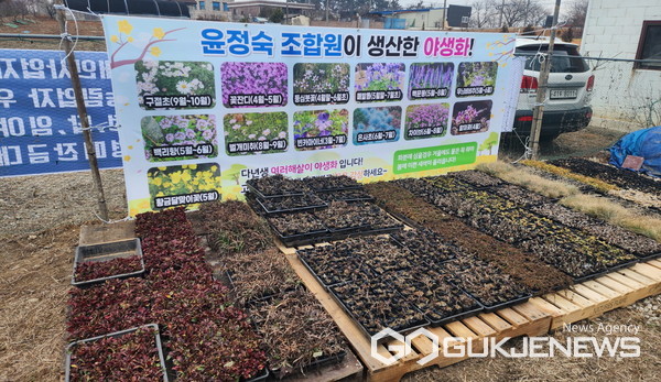 익산산림조합 나무시장 개장 ... 4월 중순까지